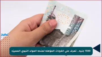 1500 جنيه.. تعرف على الفئات المؤهلة لمنحة المولد النبوي المميزة